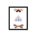 Picture of Pastel Butterflies II _GroupedProduct_Rectangle_Portrait_Mini_ _GroupedProduct_Rectangle_Portrait_Framed_Matted_