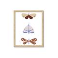 Picture of Pastel Butterflies II _GroupedProduct_Rectangle_Portrait_Mini_ _GroupedProduct_Rectangle_Portrait_Framed_Matted_