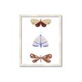 Picture of Pastel Butterflies II _GroupedProduct_Rectangle_Portrait_Mini_ _GroupedProduct_Rectangle_Portrait_Framed_Matted_