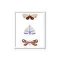 Picture of Pastel Butterflies II _GroupedProduct_Rectangle_Portrait_Mini_ _GroupedProduct_Rectangle_Portrait_Framed_Matted_