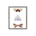 Picture of Pastel Butterflies II _GroupedProduct_Rectangle_Portrait_Mini_ _GroupedProduct_Rectangle_Portrait_Framed_Matted_