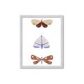 Picture of Pastel Butterflies II _GroupedProduct_Rectangle_Portrait_Mini_ _GroupedProduct_Rectangle_Portrait_Framed_Matted_