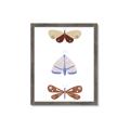 Picture of Pastel Butterflies II _GroupedProduct_Rectangle_Portrait_Mini_ _GroupedProduct_Rectangle_Portrait_Framed_Matted_