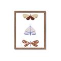 Picture of Pastel Butterflies II _GroupedProduct_Rectangle_Portrait_Mini_ _GroupedProduct_Rectangle_Portrait_Framed_Matted_