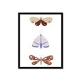 Picture of Pastel Butterflies II _GroupedProduct_Rectangle_Portrait_Mini_ _GroupedProduct_Rectangle_Portrait_Framed_Matted_