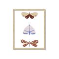 Picture of Pastel Butterflies II _GroupedProduct_Rectangle_Portrait_Mini_ _GroupedProduct_Rectangle_Portrait_Framed_Matted_