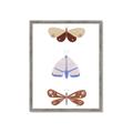 Picture of Pastel Butterflies II _GroupedProduct_Rectangle_Portrait_Mini_ _GroupedProduct_Rectangle_Portrait_Framed_Matted_
