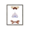 Picture of Pastel Butterflies II _GroupedProduct_Rectangle_Portrait_Mini_ _GroupedProduct_Rectangle_Portrait_Framed_Matted_