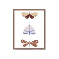 Picture of Pastel Butterflies II _GroupedProduct_Rectangle_Portrait_Mini_ _GroupedProduct_Rectangle_Portrait_Framed_Matted_