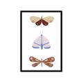 Picture of Pastel Butterflies II _GroupedProduct_Rectangle_Portrait_Mini_ _GroupedProduct_Rectangle_Portrait_Framed_Matted_