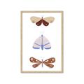 Picture of Pastel Butterflies II _GroupedProduct_Rectangle_Portrait_Mini_ _GroupedProduct_Rectangle_Portrait_Framed_Matted_