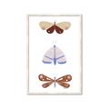 Picture of Pastel Butterflies II _GroupedProduct_Rectangle_Portrait_Mini_ _GroupedProduct_Rectangle_Portrait_Framed_Matted_