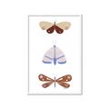 Picture of Pastel Butterflies II _GroupedProduct_Rectangle_Portrait_Mini_ _GroupedProduct_Rectangle_Portrait_Framed_Matted_
