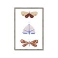 Picture of Pastel Butterflies II _GroupedProduct_Rectangle_Portrait_Mini_ _GroupedProduct_Rectangle_Portrait_Framed_Matted_