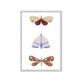 Picture of Pastel Butterflies II _GroupedProduct_Rectangle_Portrait_Mini_ _GroupedProduct_Rectangle_Portrait_Framed_Matted_