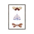 Picture of Pastel Butterflies II _GroupedProduct_Rectangle_Portrait_Mini_ _GroupedProduct_Rectangle_Portrait_Framed_Matted_