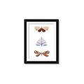 Picture of Pastel Butterflies II _GroupedProduct_Rectangle_Portrait_Mini_ _GroupedProduct_Rectangle_Portrait_Framed_Matted_