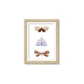 Picture of Pastel Butterflies II _GroupedProduct_Rectangle_Portrait_Mini_ _GroupedProduct_Rectangle_Portrait_Framed_Matted_