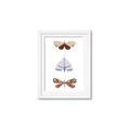 Picture of Pastel Butterflies II _GroupedProduct_Rectangle_Portrait_Mini_ _GroupedProduct_Rectangle_Portrait_Framed_Matted_