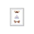 Picture of Pastel Butterflies II _GroupedProduct_Rectangle_Portrait_Mini_ _GroupedProduct_Rectangle_Portrait_Framed_Matted_