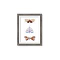 Picture of Pastel Butterflies II _GroupedProduct_Rectangle_Portrait_Mini_ _GroupedProduct_Rectangle_Portrait_Framed_Matted_