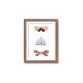 Picture of Pastel Butterflies II _GroupedProduct_Rectangle_Portrait_Mini_ _GroupedProduct_Rectangle_Portrait_Framed_Matted_