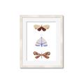 Picture of Pastel Butterflies II _GroupedProduct_Rectangle_Portrait_Mini_ _GroupedProduct_Rectangle_Portrait_Framed_Matted_