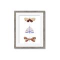 Picture of Pastel Butterflies II _GroupedProduct_Rectangle_Portrait_Mini_ _GroupedProduct_Rectangle_Portrait_Framed_Matted_