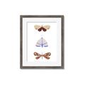 Picture of Pastel Butterflies II _GroupedProduct_Rectangle_Portrait_Mini_ _GroupedProduct_Rectangle_Portrait_Framed_Matted_