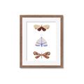 Picture of Pastel Butterflies II _GroupedProduct_Rectangle_Portrait_Mini_ _GroupedProduct_Rectangle_Portrait_Framed_Matted_