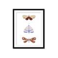 Picture of Pastel Butterflies II _GroupedProduct_Rectangle_Portrait_Mini_ _GroupedProduct_Rectangle_Portrait_Framed_Matted_