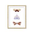 Picture of Pastel Butterflies II _GroupedProduct_Rectangle_Portrait_Mini_ _GroupedProduct_Rectangle_Portrait_Framed_Matted_