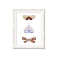 Picture of Pastel Butterflies II _GroupedProduct_Rectangle_Portrait_Mini_ _GroupedProduct_Rectangle_Portrait_Framed_Matted_