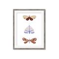 Picture of Pastel Butterflies II _GroupedProduct_Rectangle_Portrait_Mini_ _GroupedProduct_Rectangle_Portrait_Framed_Matted_