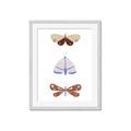 Picture of Pastel Butterflies II _GroupedProduct_Rectangle_Portrait_Mini_ _GroupedProduct_Rectangle_Portrait_Framed_Matted_