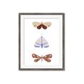 Picture of Pastel Butterflies II _GroupedProduct_Rectangle_Portrait_Mini_ _GroupedProduct_Rectangle_Portrait_Framed_Matted_