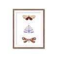 Picture of Pastel Butterflies II _GroupedProduct_Rectangle_Portrait_Mini_ _GroupedProduct_Rectangle_Portrait_Framed_Matted_
