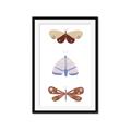 Picture of Pastel Butterflies II _GroupedProduct_Rectangle_Portrait_Mini_ _GroupedProduct_Rectangle_Portrait_Framed_Matted_
