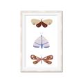 Picture of Pastel Butterflies II _GroupedProduct_Rectangle_Portrait_Mini_ _GroupedProduct_Rectangle_Portrait_Framed_Matted_