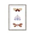 Picture of Pastel Butterflies II _GroupedProduct_Rectangle_Portrait_Mini_ _GroupedProduct_Rectangle_Portrait_Framed_Matted_