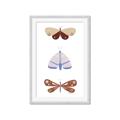 Picture of Pastel Butterflies II _GroupedProduct_Rectangle_Portrait_Mini_ _GroupedProduct_Rectangle_Portrait_Framed_Matted_
