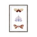 Picture of Pastel Butterflies II _GroupedProduct_Rectangle_Portrait_Mini_ _GroupedProduct_Rectangle_Portrait_Framed_Matted_