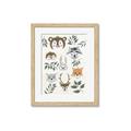 Picture of Safari Heads II (make bkg white) _GroupedProduct_Rectangle_Portrait_Mini_ _GroupedProduct_Rectangle_Portrait_Framed_Matted_