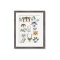 Picture of Safari Heads II (make bkg white) _GroupedProduct_Rectangle_Portrait_Mini_ _GroupedProduct_Rectangle_Portrait_Framed_Matted_