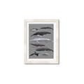 Picture of Shark chart _GroupedProduct_Rectangle_Portrait_Mini_ _GroupedProduct_Rectangle_Portrait_Framed_Matted_