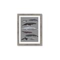 Picture of Shark chart _GroupedProduct_Rectangle_Portrait_Mini_ _GroupedProduct_Rectangle_Portrait_Framed_Matted_