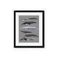 Picture of Shark chart _GroupedProduct_Rectangle_Portrait_Mini_ _GroupedProduct_Rectangle_Portrait_Framed_Matted_