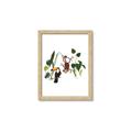Picture of Hanging in the rainforest I _GroupedProduct_Rectangle_Portrait_Mini_ _GroupedProduct_Rectangle_Portrait_Framed_Matted_