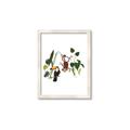 Picture of Hanging in the rainforest I _GroupedProduct_Rectangle_Portrait_Mini_ _GroupedProduct_Rectangle_Portrait_Framed_Matted_