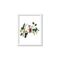 Picture of Hanging in the rainforest I _GroupedProduct_Rectangle_Portrait_Mini_ _GroupedProduct_Rectangle_Portrait_Framed_Matted_